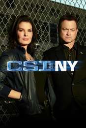 CSI: NY Season 9