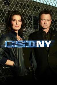 CSI: NY - Posters