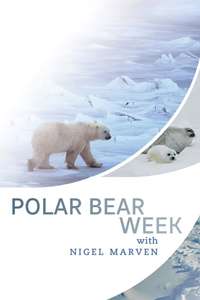 Polar Bear Week with Nigel Marven - Poster