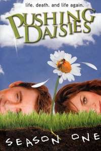 Pushing Daisies - Posters