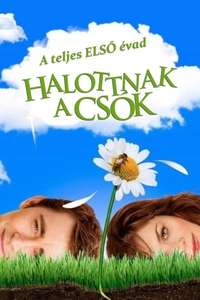 Pushing Daisies - Posters