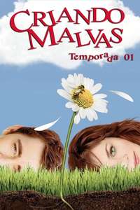Pushing Daisies - Posters