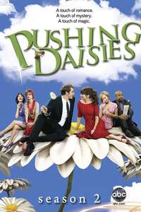 Pushing Daisies - Posters
