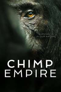 Chimp Empire - Posters