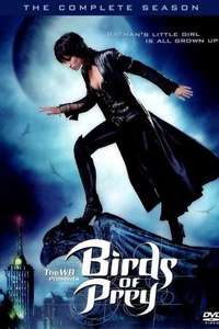 Birds of Prey - Poster