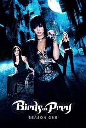 Birds of Prey Season 1