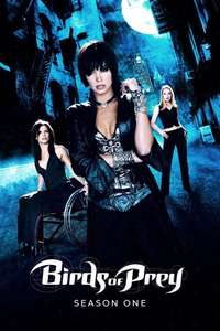 Birds of Prey - Poster