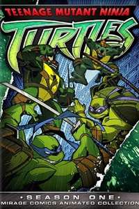 Teenage Mutant Ninja Turtles - Posters