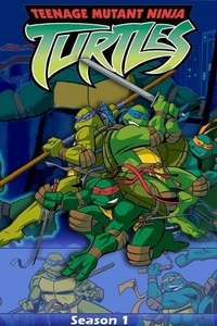 Teenage Mutant Ninja Turtles - Posters