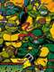 Teenage Mutant Ninja Turtles : Season 2