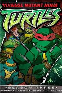 Teenage Mutant Ninja Turtles - Posters