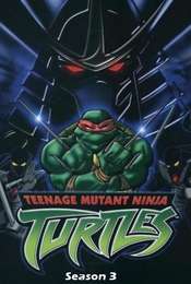 Teenage Mutant Ninja Turtles Season 3