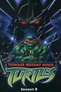Teenage Mutant Ninja Turtles - Posters