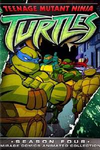 Teenage Mutant Ninja Turtles - Posters