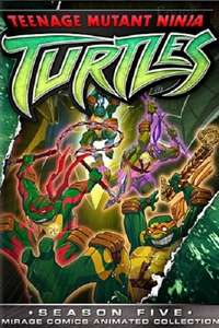 Teenage Mutant Ninja Turtles - Posters