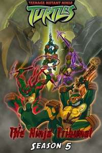 Teenage Mutant Ninja Turtles - Posters