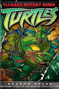 Teenage Mutant Ninja Turtles - Posters