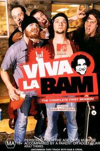 Viva La Bam - Posters