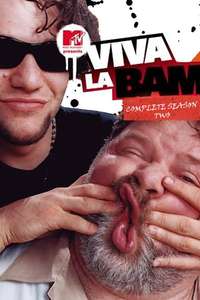 Viva La Bam - Posters