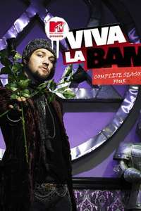 Viva La Bam - Posters