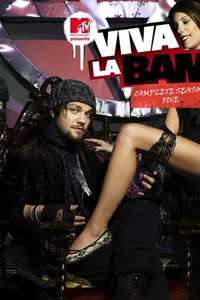 Viva La Bam - Posters