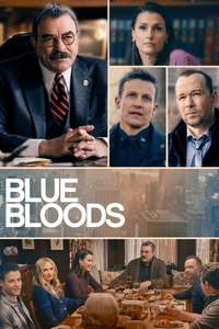Blue Bloods - Posters