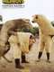 Wildboyz : Season 4