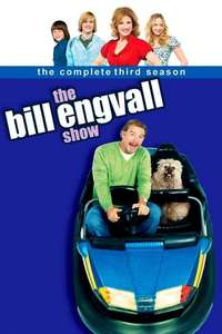 The Bill Engvall Show - Poster