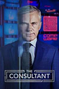 The Consultant - Posters