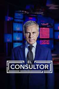 The Consultant - Posters