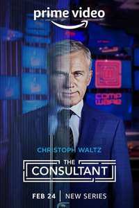 The Consultant - Posters
