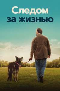 After Life - Poster