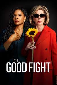 The Good Fight - Posters