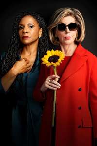 The Good Fight - Posters