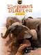 Elephant Diaries : Season 2