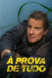 Man vs. Wild - Posters