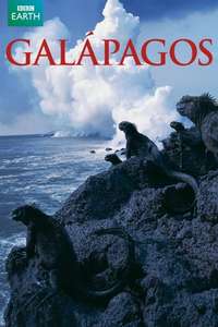 Galapagos - Posters