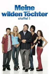 8 Simple Rules - Posters