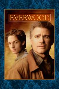 Everwood - Poster