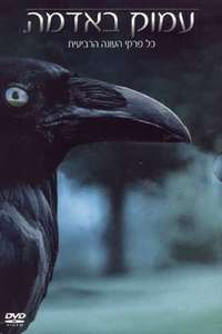 Six Feet Under - Posters