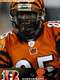Hard Knocks : Training Camp with the Cincinnati Bengals