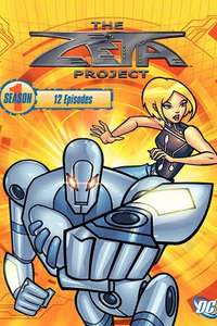The Zeta Project - Poster