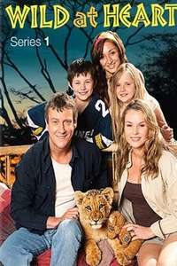 Wild at Heart - Poster
