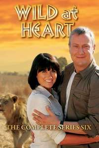 Wild at Heart - Poster
