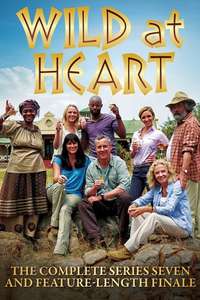Wild at Heart - Poster