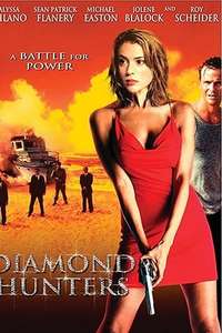 The Diamond Hunters - Poster