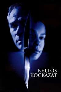 Double Jeopardy - Poster
