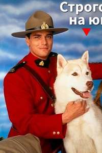 Due South - Poster