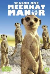 Meerkat Manor Season 1