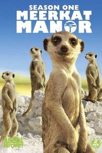 Meerkat Manor - Poster